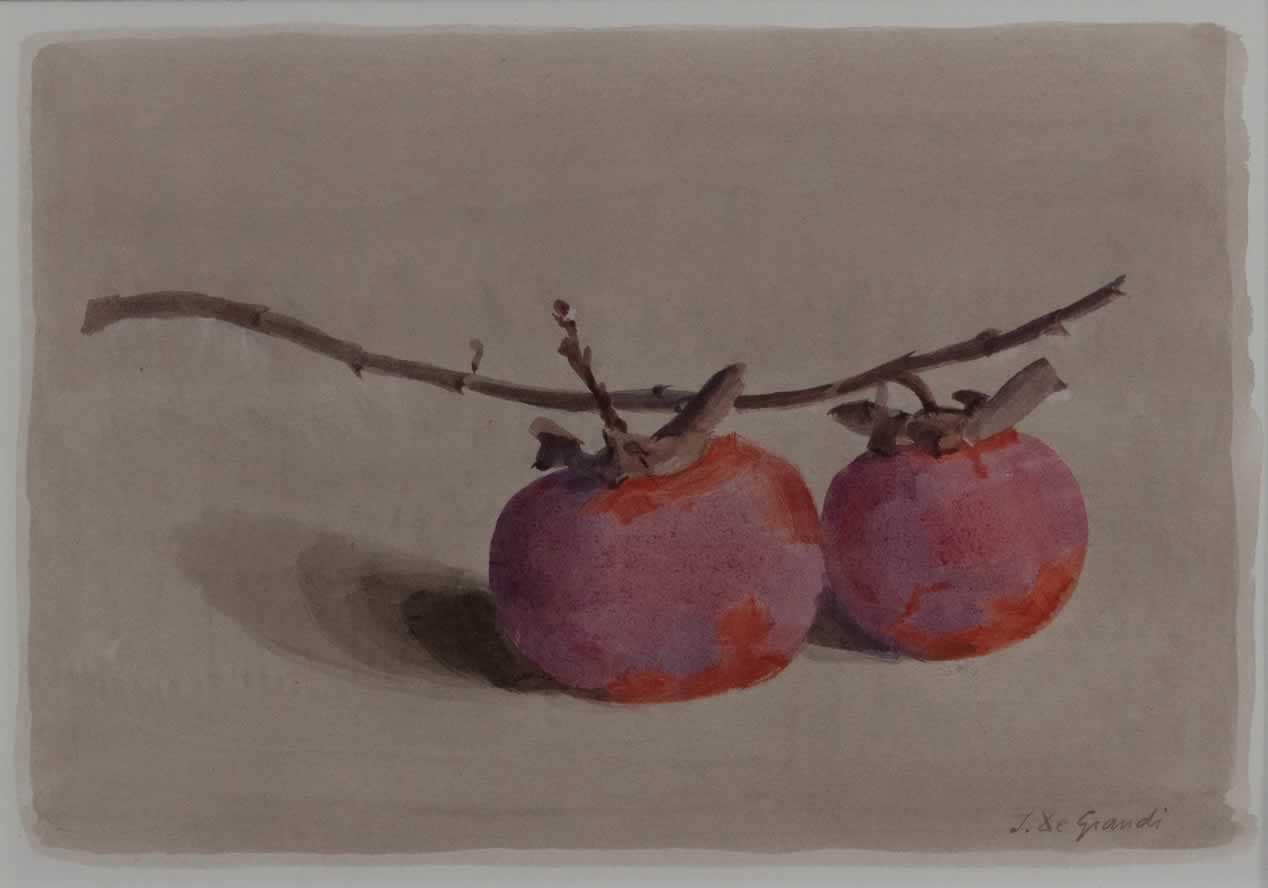 Italo : Rameau de kakis