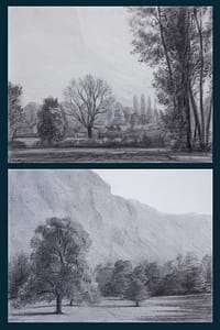 C Reymond : Arbres en plaine