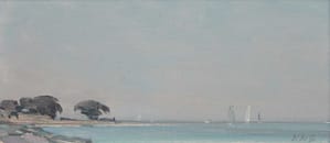 Vincent : Le Léman en Savoie