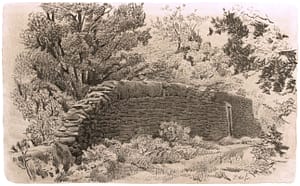 Italo : Le mur dans la forêt