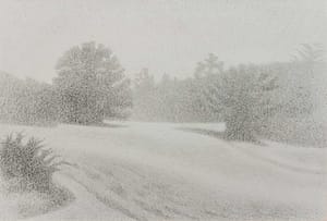 C Reymond : Chemin en lisière de forêt