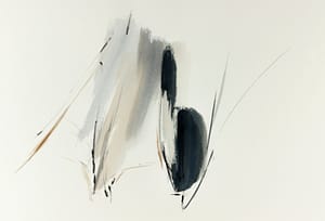 ck 71 beau cedre 4 bd 2