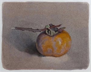 Italo : Kaki et son ombre