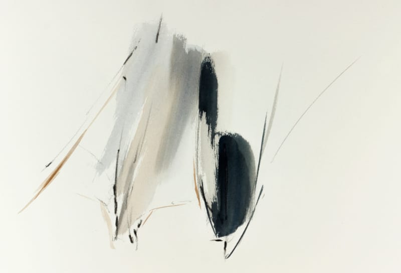 ck 71 beau cedre 4 bd 2